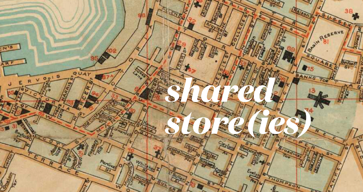 Mapping local assets for disaster